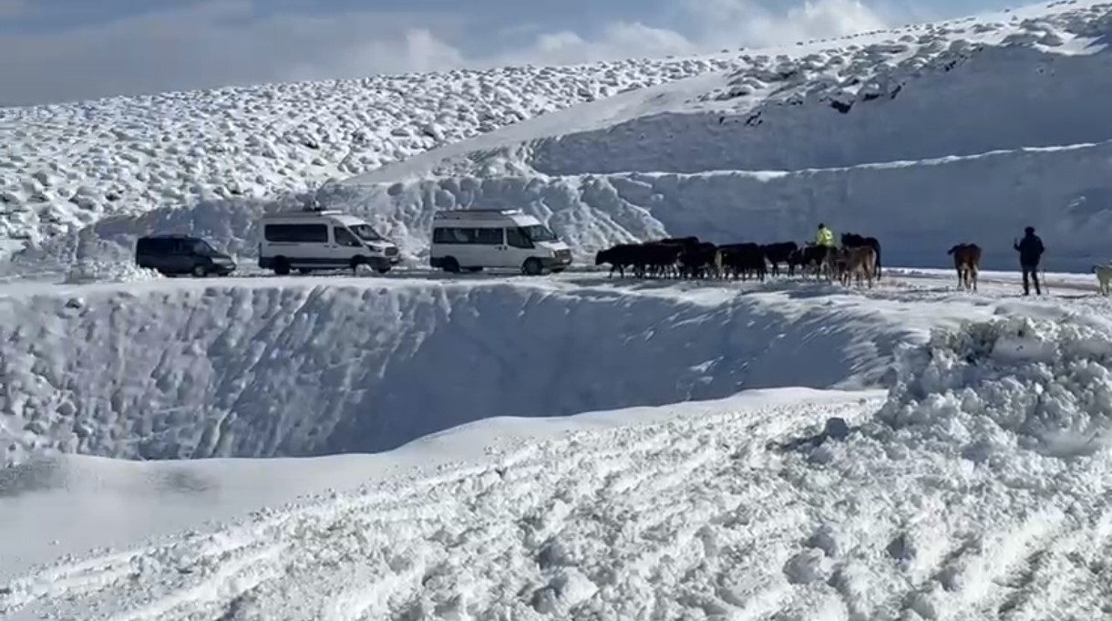 YOĞUN KAR YAĞIŞI NEDENİYLE KAPANAN KÖY YOLLARINDA MAHSUR KALAN YAKLAŞIK 200 KOYUN VE 5 ARAÇ...