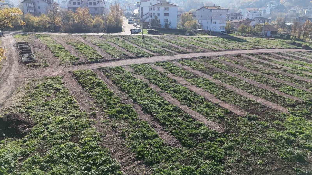 17 AĞUSTOS MEZARLIĞI’NIN DOLMASIYLA BİRLİKTE GÖLCÜK İLÇESİNDE ORTAYA ÇIKAN MEZARLIK İHTİYACINA...