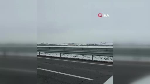 Aç kalan kurt sürüsü şehir merkezine indi