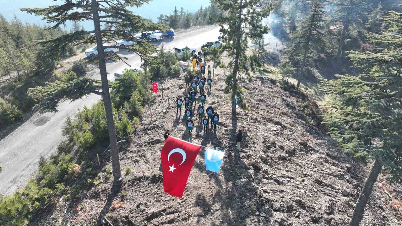 ADANA’NIN FEKE İLÇESİNDE 6 DÖNÜM ALANDA YAKLAŞIK 1 TON SEDİR TOHUMU TOPRAKLA BULUŞTU.