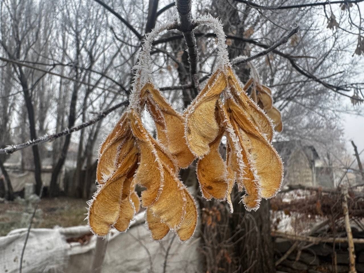 AĞRI’DA SOĞUK HAVA YAŞAMI OLUMSUZ ETKİLİYOR