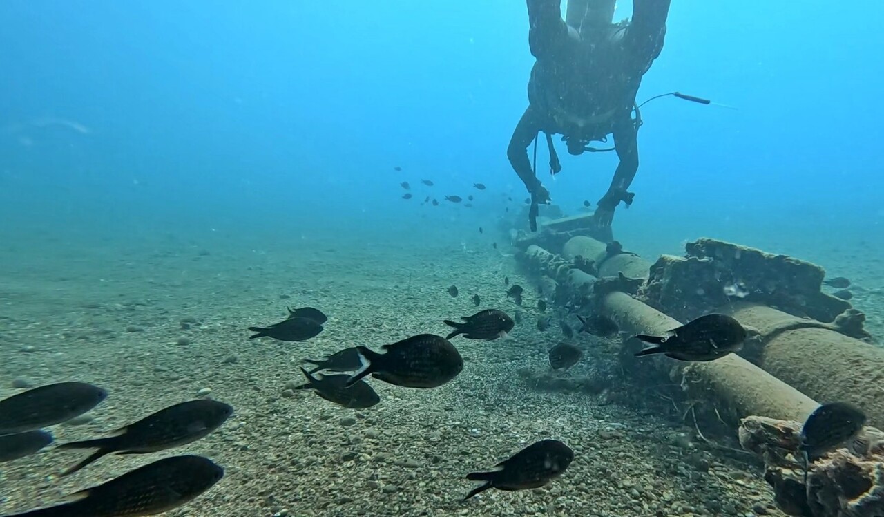 AKDENİZ ÜNİVERSİTESİ SU ÜRÜNLERİ FAKÜLTESİ'NDEN PROF. DR. MEHMET GÖKOĞLU, KONYAALTI SAHİLİ'NDE SON...