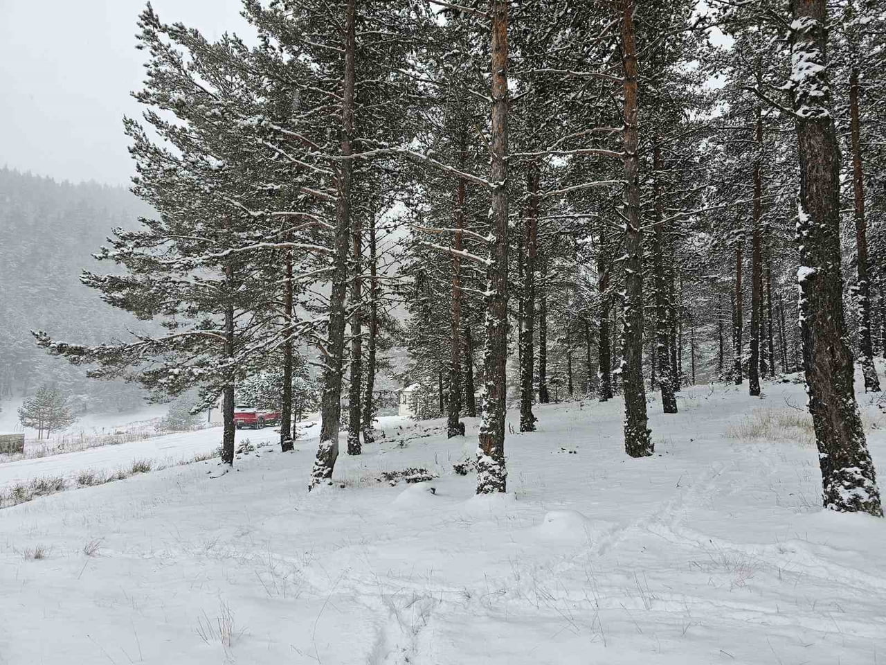 ANKARA'DA  KAR YAĞIŞI KUZEY İLÇELERİNDE ETKİSİNİ SÜRDÜRÜYOR. KAR YAĞIŞI NEDENİYLE YAYLALAR BEYAZA...