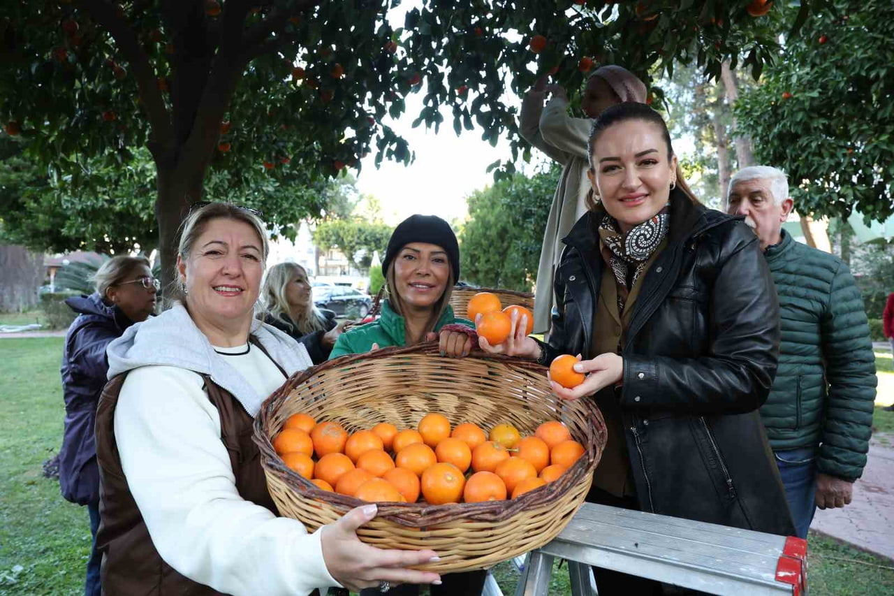 ANTALYA BÜYÜKŞEHİR BELEDİYESİ BAŞKAN VEKİLİ BÜŞRA ÖZDEMİR, TURUNÇ MEYVESİ TOPLAYARAK, KADINLARIN...