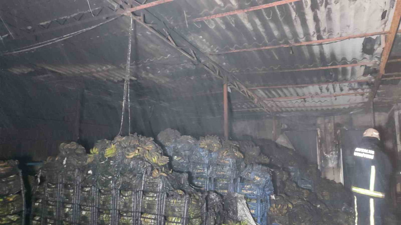 ANTALYA’NIN ALANYA İLÇESİNDE BULUNAN DEMİRTAŞ SEBZE VE MEYVE HALİ’NDE MUZ SARARTMA DEPOSUNDA ÇIKAN...