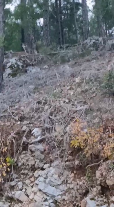 ANTALYA’NIN ALANYA İLÇESİNE BAĞLI UZUNÖZ MAHALLESİ’NDE HAVALARIN SOĞUMASI VE YAYLALARDAN KÖYLERE...