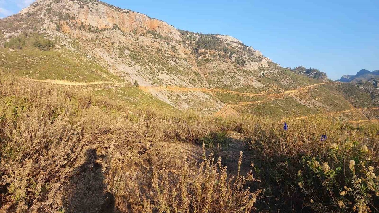 ANTALYA’NIN GÜNDOĞMUŞ İLÇESİNDE MANTAR TOPLAMAYA ÇIKAN İKİ KARDEŞTEN BİRİ RAHATSIZLANARAK YAŞAMINI...