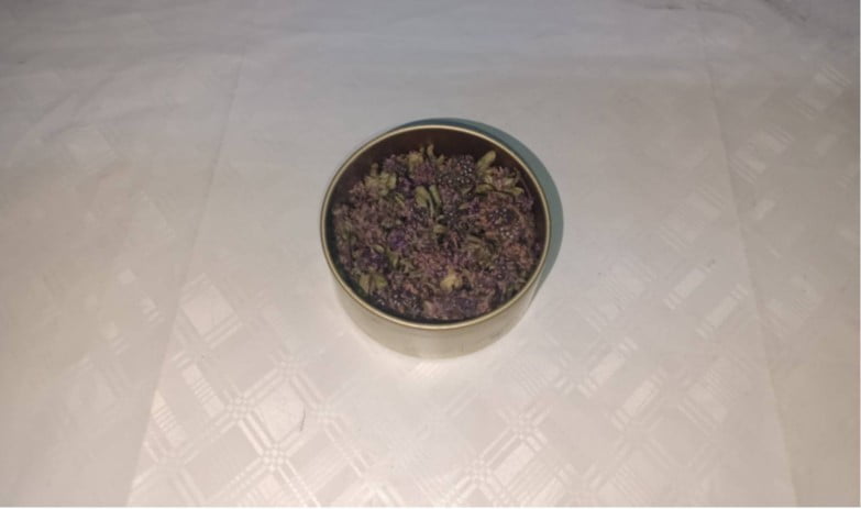 ARTVİN’DE ENDEMİK YAYLA ÇAYI ÇİÇEĞİ’Nİ YASA DIŞI YOLLARLA GÜRCİSTAN’A ÇIKARMAYA ÇALIŞAN BİR ŞAHIS...