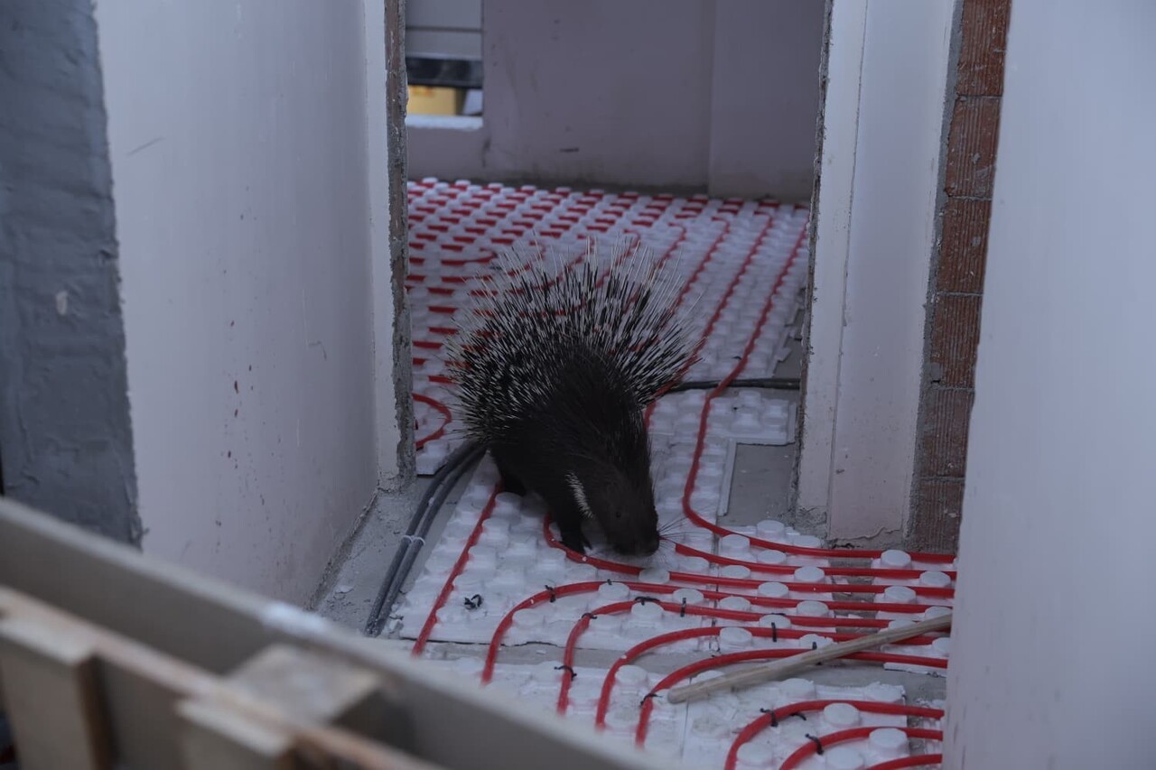 AYDIN'IN İNCİRLİOVA İLÇESİNDE BELEDİYE EKİPLERİNİN ZAMANINDA MÜDAHALESİYLE KORUMA ALTINA ALINAN...