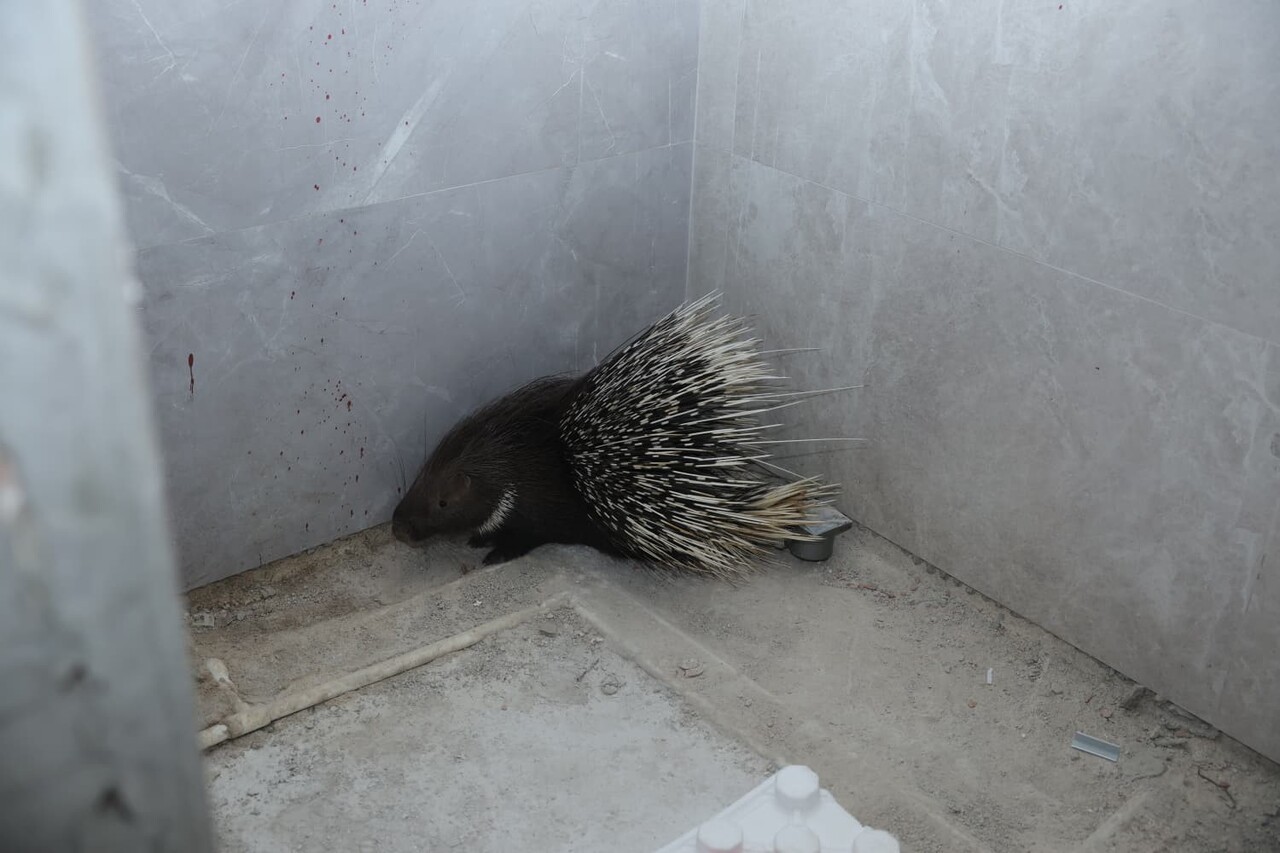 AYDIN'IN İNCİRLİOVA İLÇESİNDE BELEDİYE EKİPLERİNİN ZAMANINDA MÜDAHALESİYLE KORUMA ALTINA ALINAN...