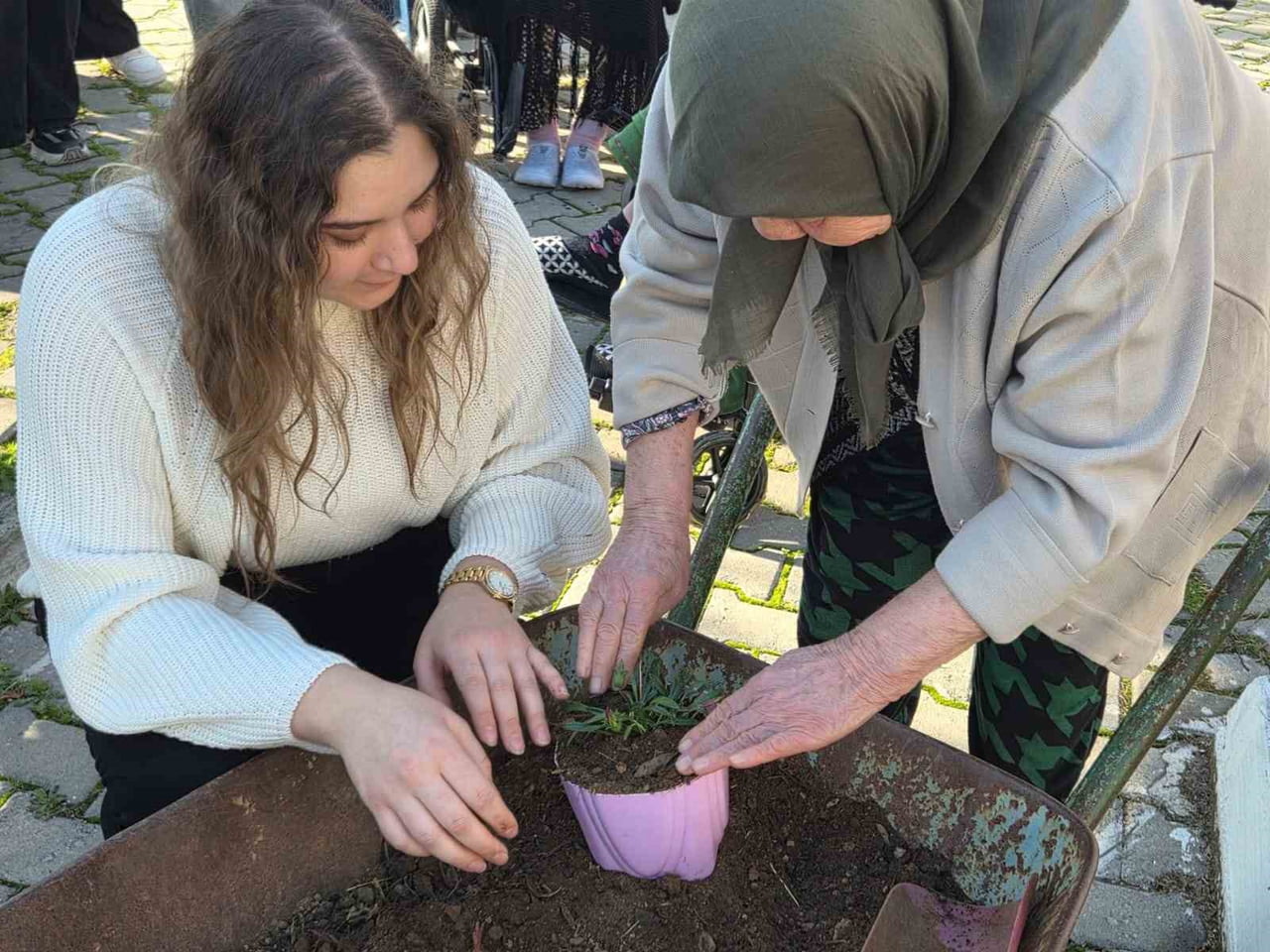AYDIN'IN SULTANHİSAR İLÇESİNDE YAŞLI ÇINARLARI UNUTMAYAN ÜNİVERSİTE ÖĞRENCİLERİ, ŞARKI VE...