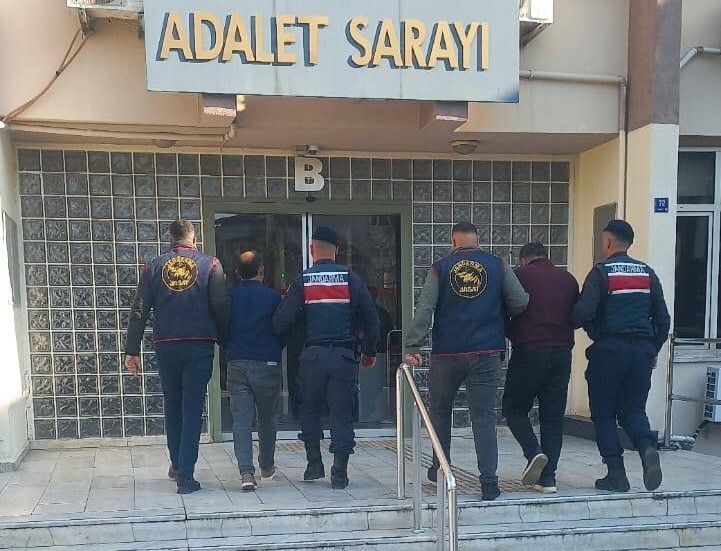 AYDIN’IN EFELER İLÇESİNDE BİR ZEYTİN BAHÇESİNDEN ÇALINAN YAKLAŞIK 400 KİLOGRAM ZEYTİN, KÖŞK...