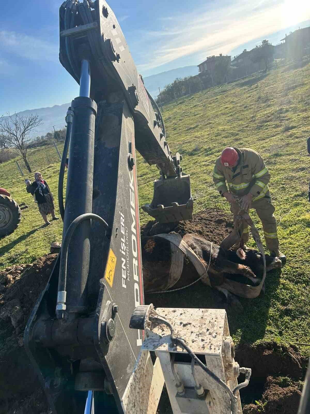 BALIKESİR'DE KUYUYA DÜŞEN İNEK KURTARILDI