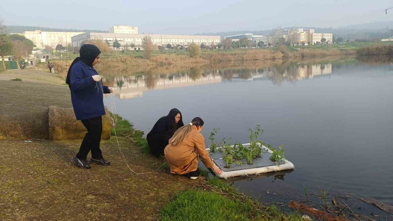 BALIKESİR'DE SU KİRLİLİĞİNE BİTKİSEL ÇÖZÜM OLARAK, "YÜZEN BİTKİ ADACIKLARIYLA SU ARITMA" ÇALIŞMASI...