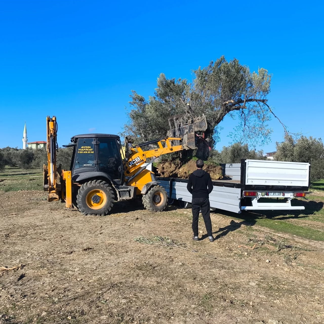 BALIKESİR’İN GÖMEÇ İLÇESİNDE İLÇE TARIM VE ORMAN MÜDÜRLÜĞÜ, ZEYTİN AĞAÇLARININ SÖKÜMÜ VE TAŞINMASI...