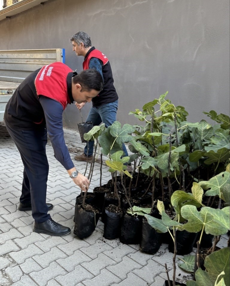 BALIKESİR’İN GÖMEÇ İLÇESİNDE, "İNCİR ÜRETİMİNİ ARTIRMA PROJESİ" KAPSAMINDA ÜRETİCİLERE 499 ADET...