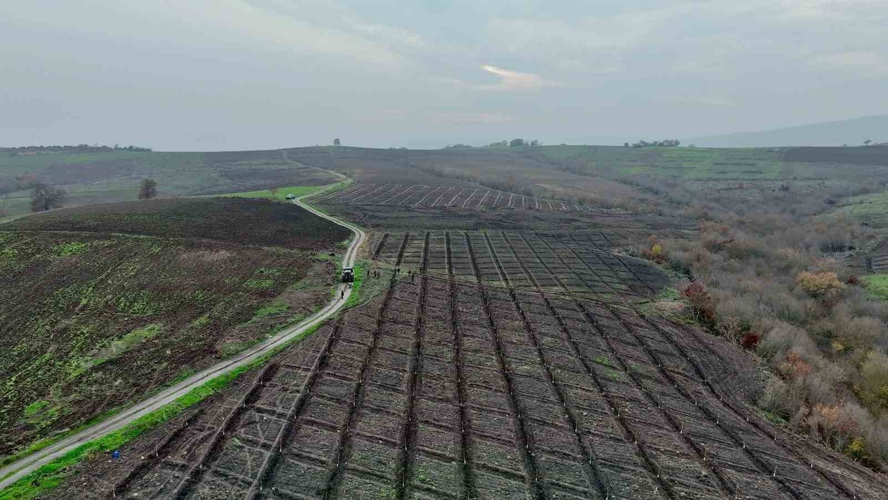 BALIKESİR’İN MANYAS İLÇESİNE BAĞLI KIRSAL ÇAKIRCA MAHALLESİ’NDE ORMAN KÖYLÜSÜNE YÖNELİK GELİR...