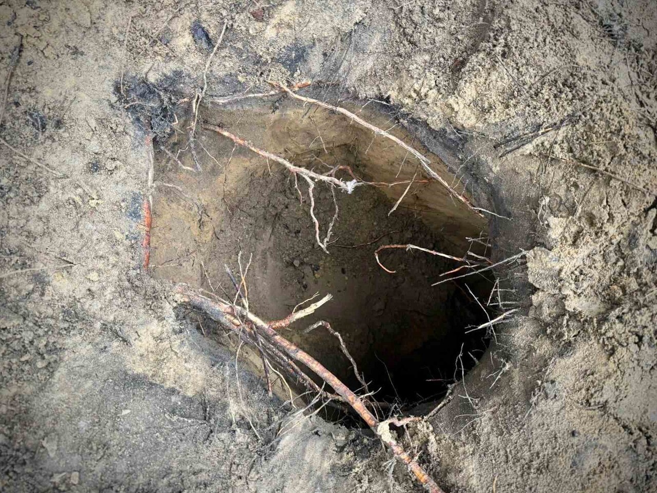 BELARUS'TA 180 KAÇAK GÖÇMEN, SINIRDA KAZDIKLARI TÜNELLE POLONYA'YA GİRDİ. KAÇAK GÖÇMENLERİN...