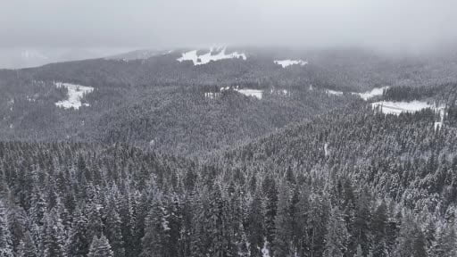 Beyaza bürünen Ilgaz Dağı böyle görüntülendi