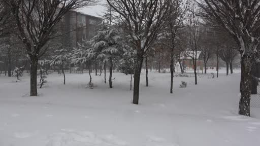 Bitlis’te yağan kar 180 köy yolunu ulaşıma kapattı