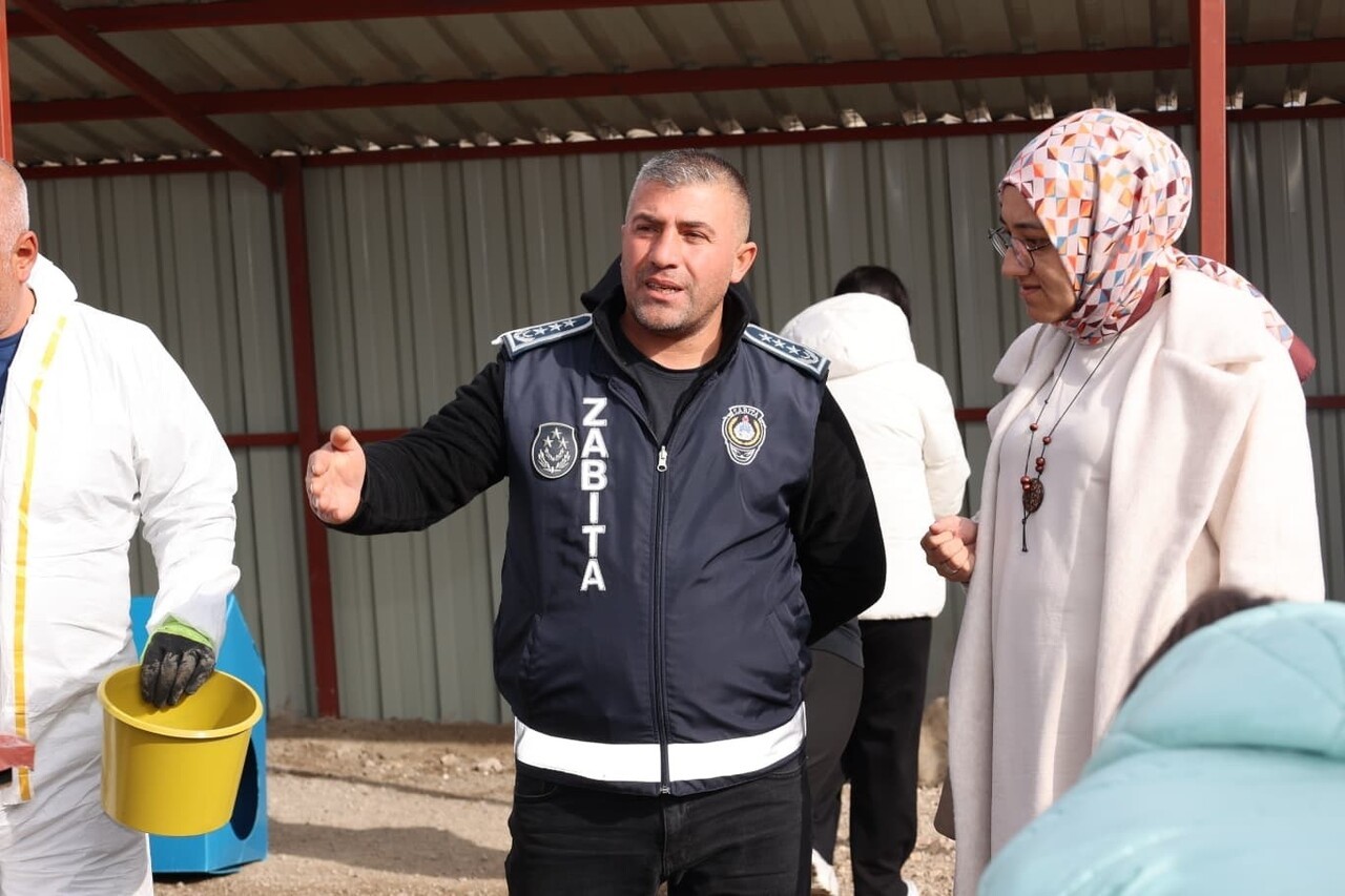 BÜNYAN ANADOLU LİSESİ ÖĞRENCİLERİ, BÜNYAN BELEDİYESİ TARAFINDAN HİZMETE SUNULAN SOKAK HAYVANLARI...