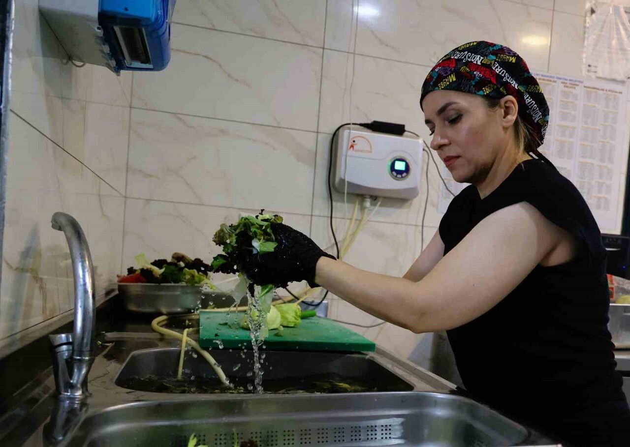 BÜNYESİNDE RESTORAN VE MUTFAK BÖLÜMÜ OLAN TESİSLERDE KULLANILAN YEŞİLLİK, SEBZE VE MEYVELER GÜNLÜK...