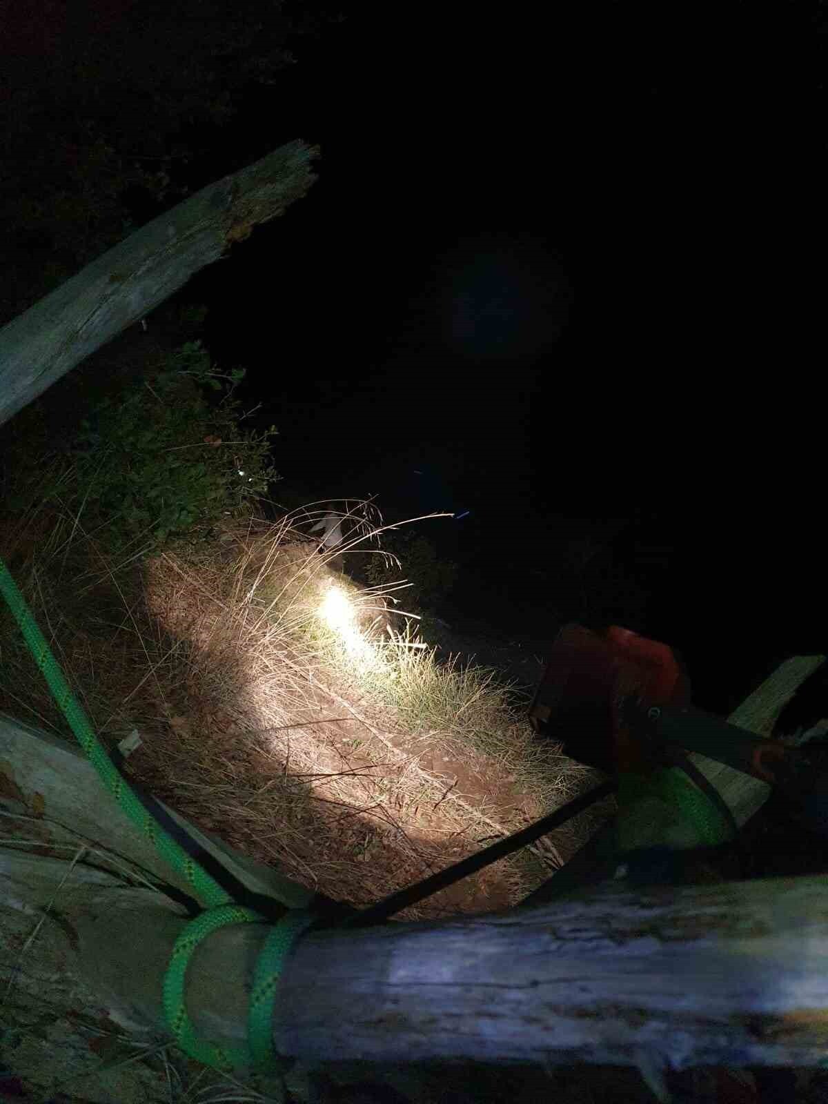 BURSA’NIN GÜRSU İLÇESİNDE ORMANLIK ALANDA MAHSUR KALAN 58 YAŞINDAKİ VATANDAŞ, İTFAİYE, UMKE VE...