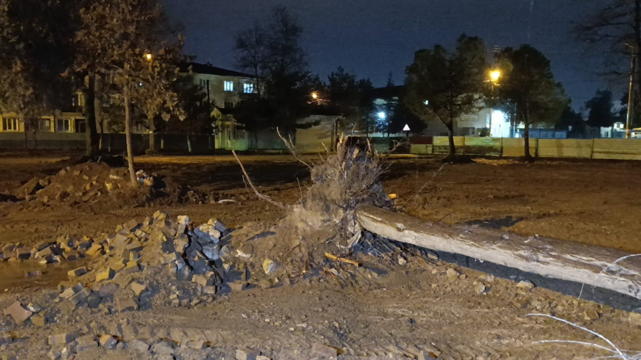 BURSA’NIN İNEGÖL İLÇESİNDE BİR İNŞAAT ALANINDA BULUNAN AĞAÇ, YAĞIŞ VE RÜZGARIN ETKİSİYLE KÖKÜNDEN...