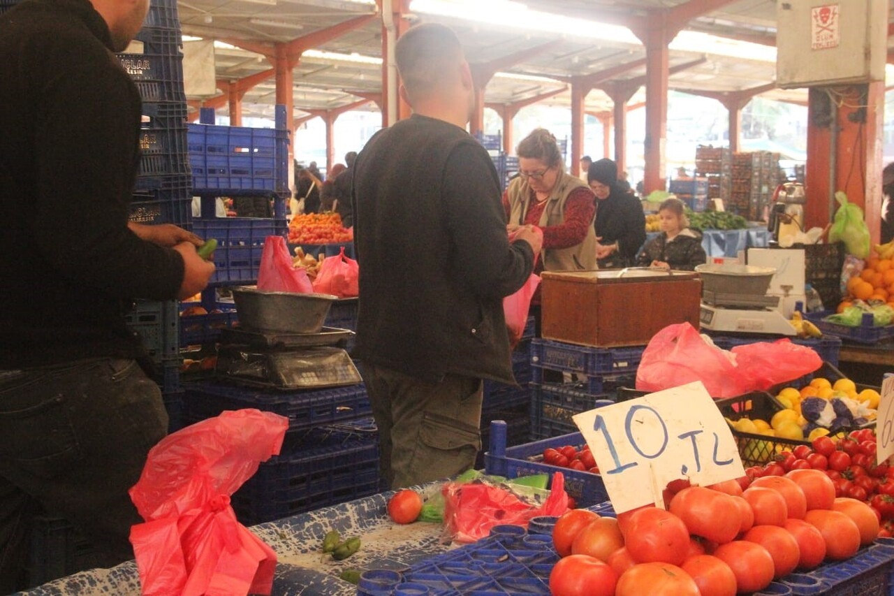ÇANAKKALE'NİN BAYRAMİÇ, EZİNE VE MERKEZE BAĞLI BATAK OVASINDA YETİŞEN ÜNLÜ ÇANAKKALE DOMATESİ SON...