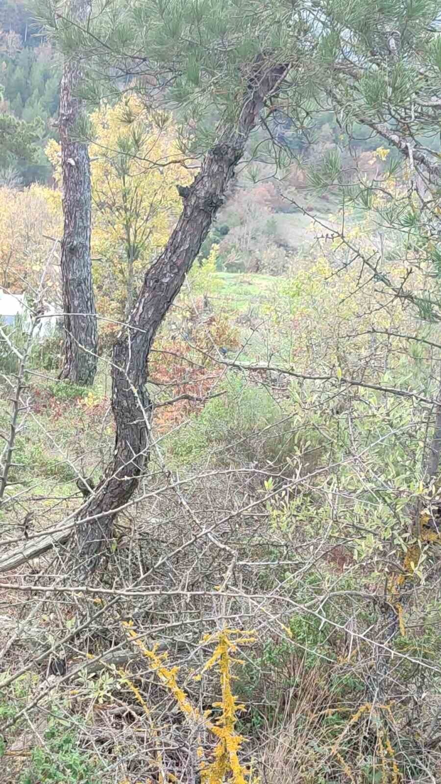 ÇANAKKALE'NİN ÇAN İLÇESİNDE KAYBOLAN ALZHEİMER HASTASI ŞEFİKA AVCI (90) ÖLÜ BULUNDU.