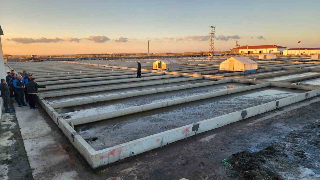 ÇANAKKALE’NİN AYVACIK İLÇESİNDE BULUNAN DENİZ SOLUCANI TÜRLERİ YETİŞTİRİCİLİĞİ TESİSİ SEKTÖRDE TEK...