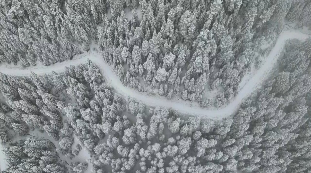 ÇANKIRI-KASTAMONU SINIRINDA YER ALAN ILGAZ DAĞI, KAR YAĞIŞI NEDENİYLE BEYAZA BÜRÜNDÜ....