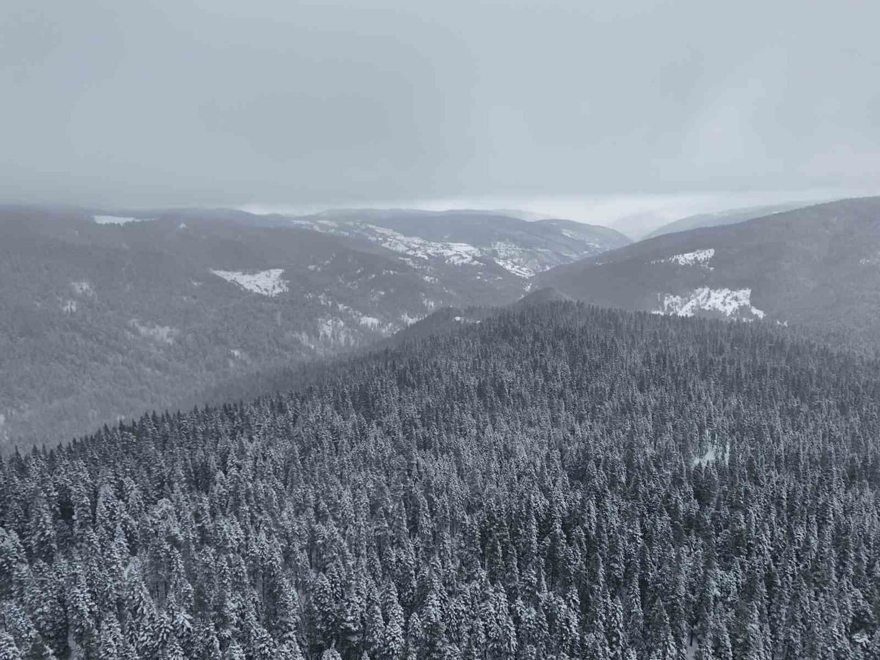 ÇANKIRI-KASTAMONU SINIRINDAKİ ILGAZ DAĞI, KAR YAĞIŞIYLA BEYAZ ÖRTÜYLE KAPLANDI. ORTAYA ÇIKAN...