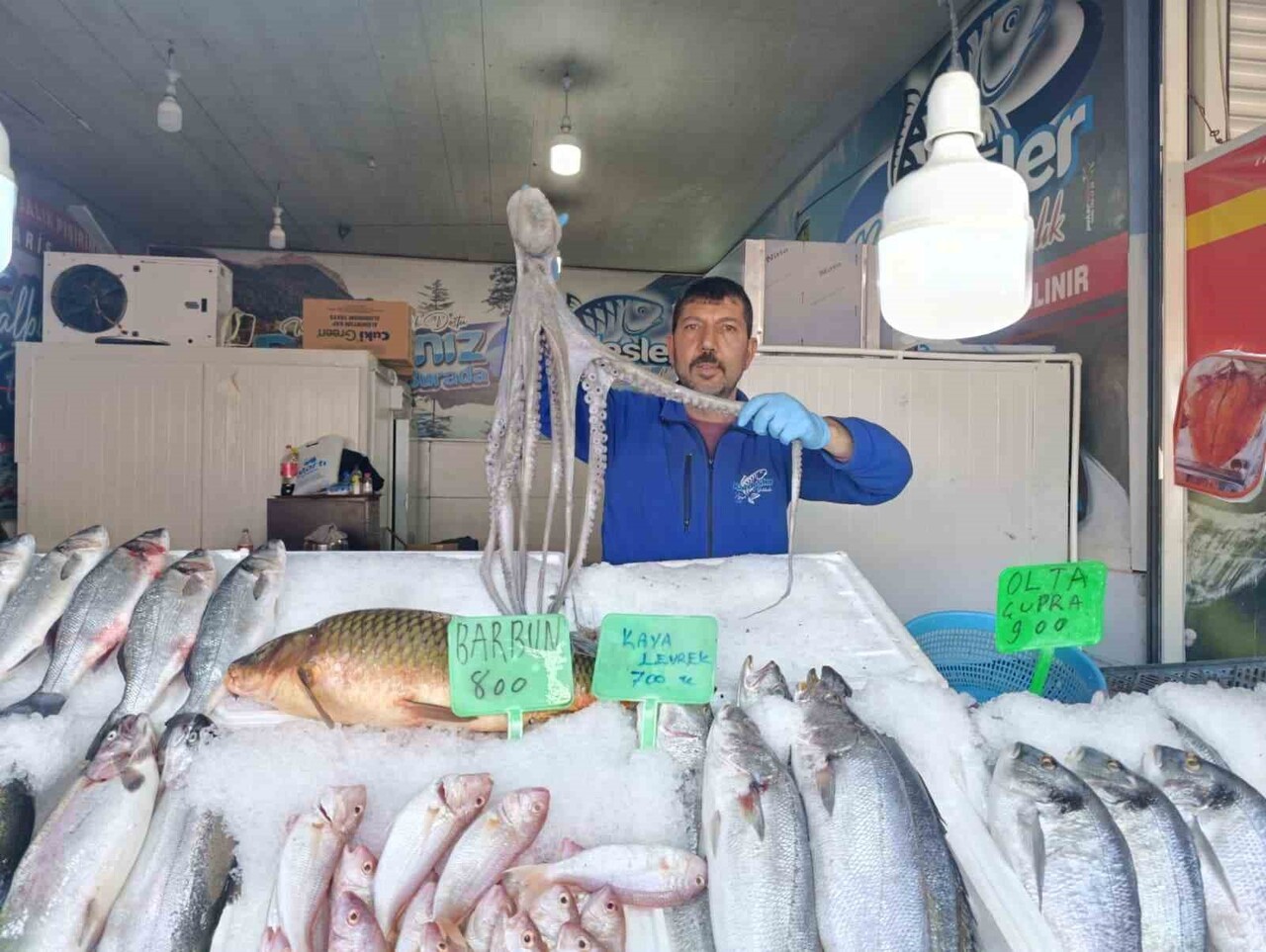 DENİZ KENARINA KIYISI BULUNMAYAN KAHRAMANMARAŞ’TA BALIĞA OLAN İLGİ HER GEÇEN GÜN ARTIYOR. KENT...