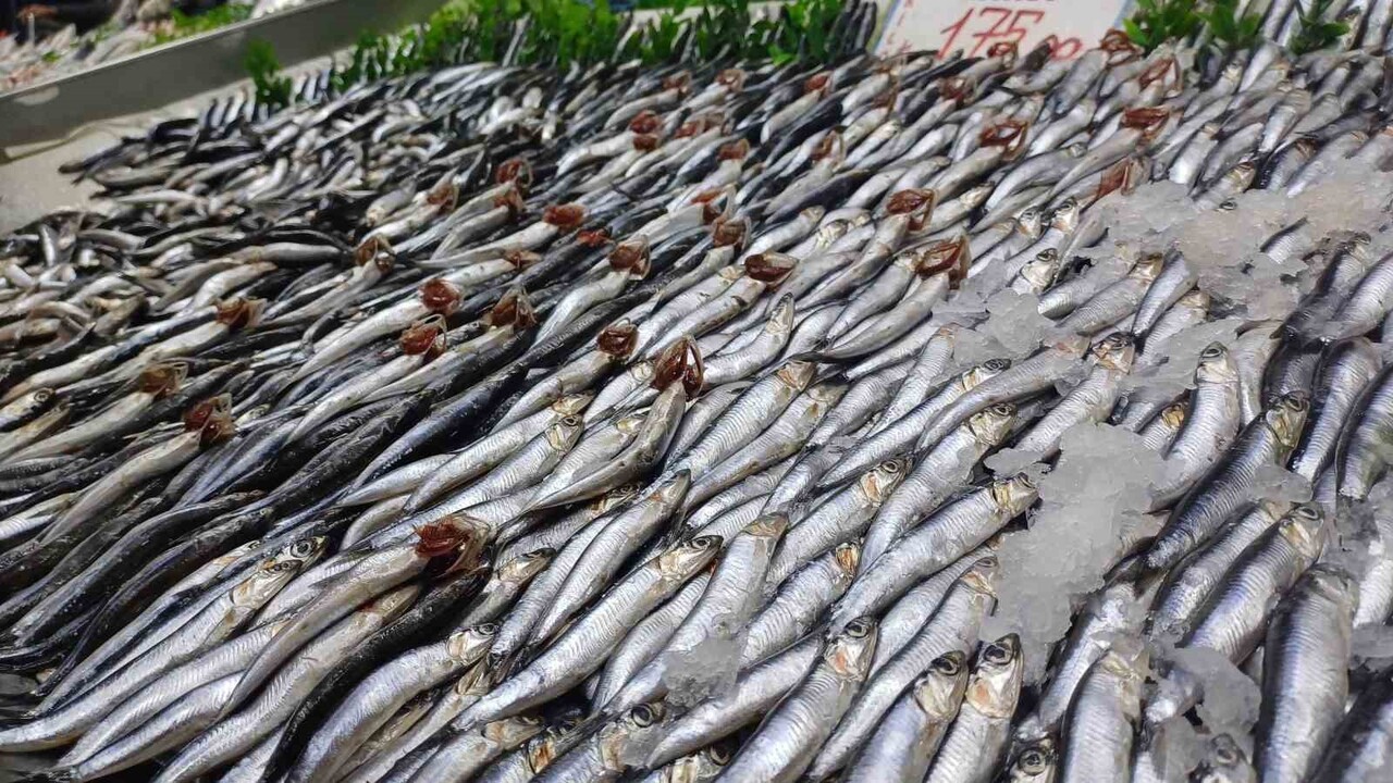 DENİZDE PALAMUT BALIĞININ AZ OLMASIYLA, KAYSERİ'DEKİ BALIKÇI TEZGÂHLARINDA HAMSİ BOLLUĞU YAŞANMAYA...