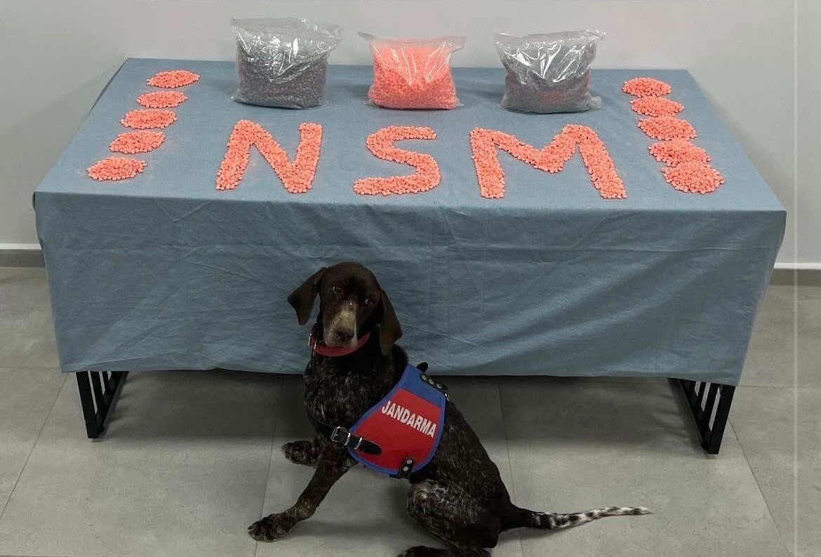 DENİZLİ'YE ÇEVRE İLLERDEN YÜKLÜ MİKTARDA UYUŞTURUCU HAP SEVK EDEN ŞÜPHELİ, JANDARMA NARKOTİK...