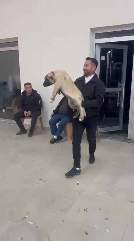 DENİZLİ’DE YENİ EVLENEN ÇİFTİN DÜĞÜNÜNDEKİ TAKI MERASİMİNDE DAMADIN ARKADAŞININ DÜĞÜN HEDİYESİ...