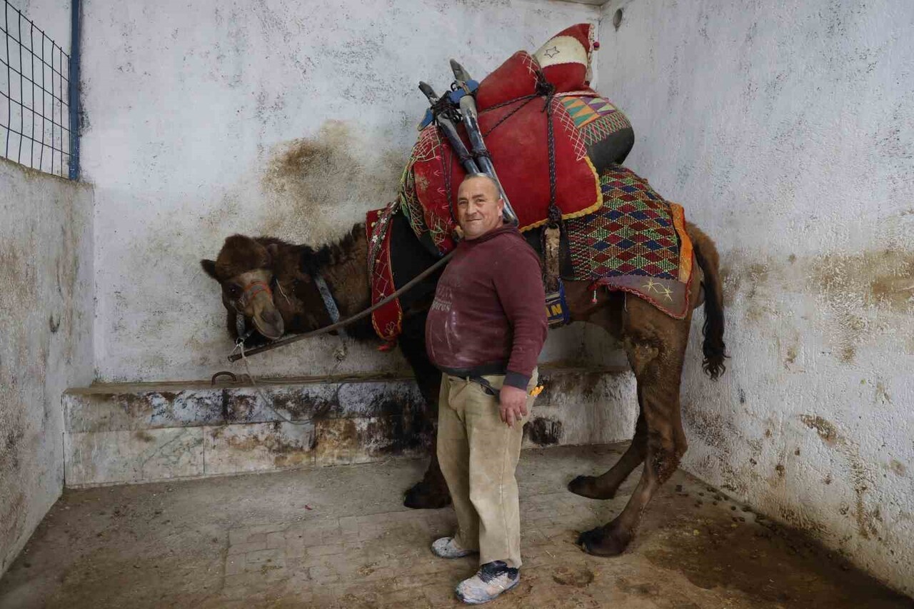DEVECİLİK KÜLTÜRÜ VE DEVE GÜREŞLERİ FEDERASYONU BAŞKANI AKIN PAZARLIOĞLU, ŞAP KARANTİNASI...