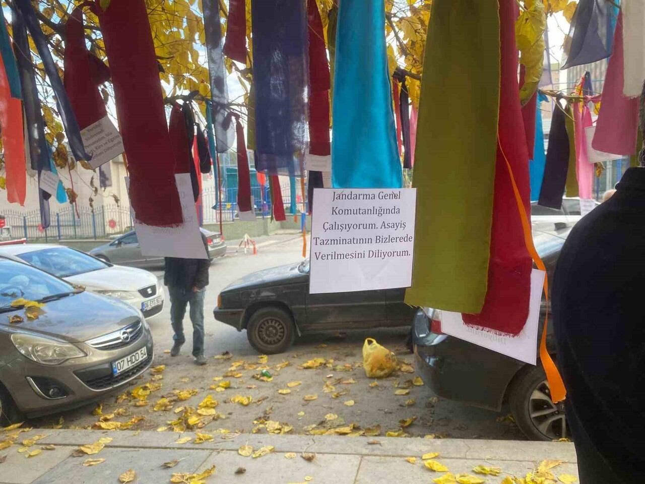 DEVLET MEMURLARI KONFEDERASYONU TARAFINDAN ÇALIŞMA VE SOSYAL GÜVENLİK BAKANLIĞI ÖNÜNDEKİ BİR AĞACI...