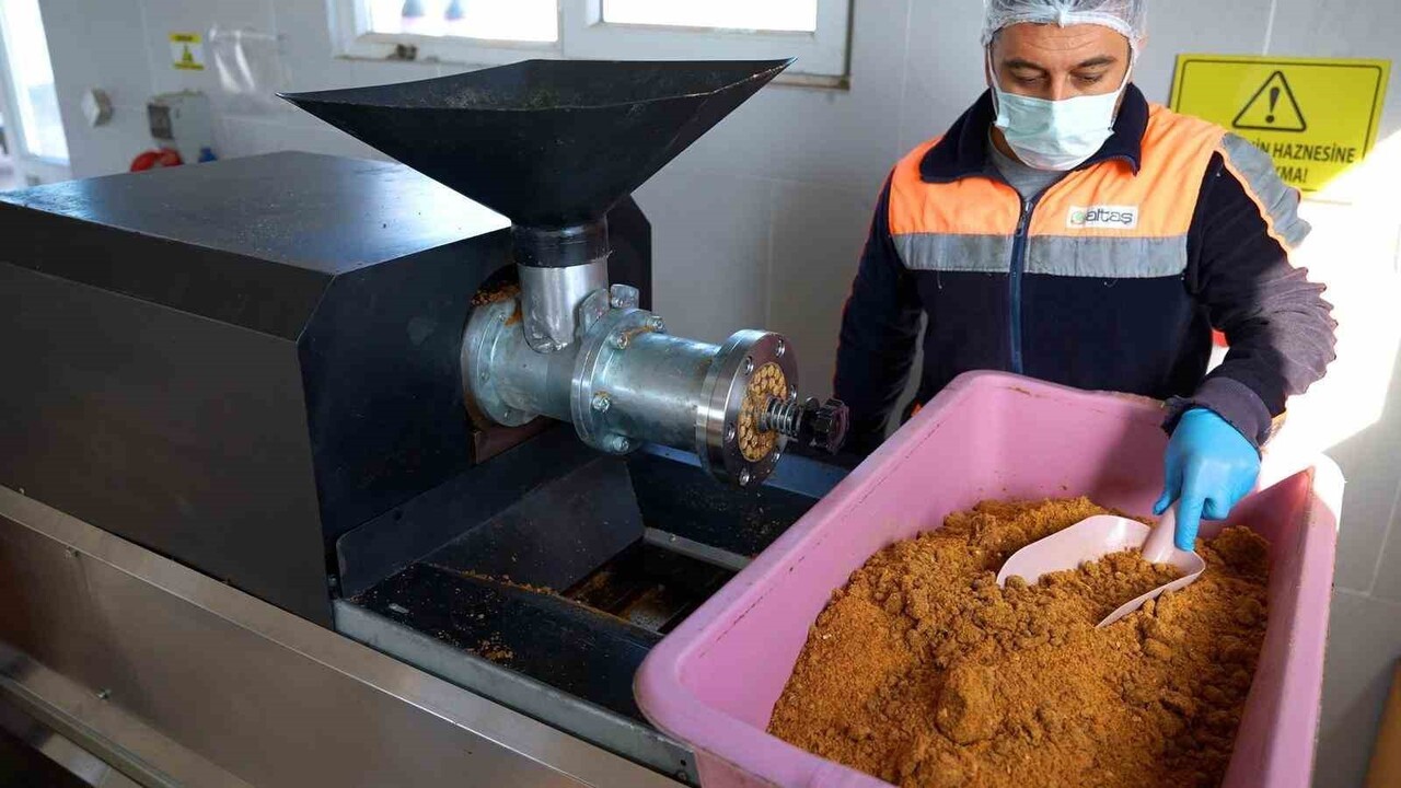 DİDİM BELEDİYESİ, ÇEVREYİ KORUMAYA VE SOKAK HAYVANLARININ BESLENMESİNE YÖNELİK ÖNEMLİ BİR PROJEYİ...