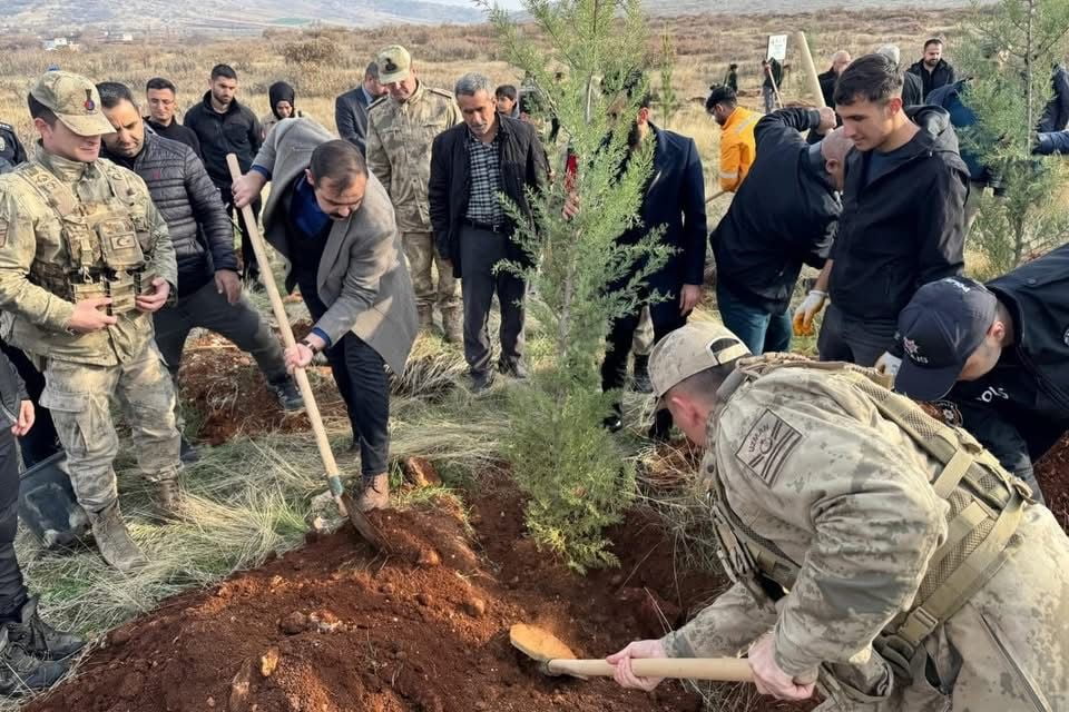 DİYARBAKIR'IN KOCAKÖY İLÇESİNDE, SUR OLAYLARINDA ŞEHİT DÜŞEN KOLLUK KUVVETLERİ ADINA FİDAN...