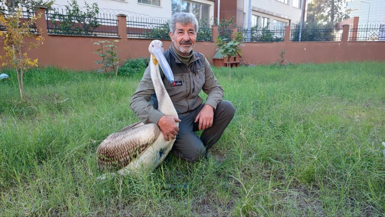 DOĞA KORUMA VE MİLLİ PARKLAR 7. BÖLGE MÜDÜRLÜĞÜ'NE BAĞLI ADANA DOĞA KORUMA VE MİLLİ PARKLAR...