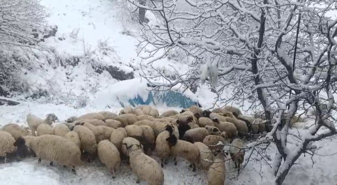 DOĞU ANADOLU BÖLGESİNİ ETKİSİ ALTINA ALAN KAR, YÜKSEK KESİMLERDE ULAŞIMI VE HAYATI OLUMSUZ YÖNDE...