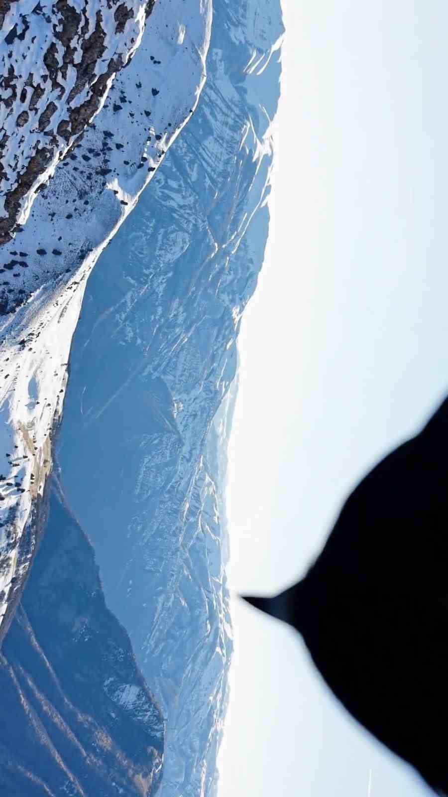 DRONU KAPAN KARTAL, BİR SÜRE TAŞIDIKTAN SONRA DAĞIN ZİRVESİNDE KAYALIKLARIN ÜZERİNE BIRAKTI. O...