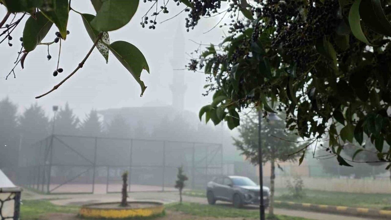 DÜZCE’DE ETKİLİ OLAN SİSLE GÖRÜŞ MESAFESİ 50 METREYE KADAR DÜŞTÜ.