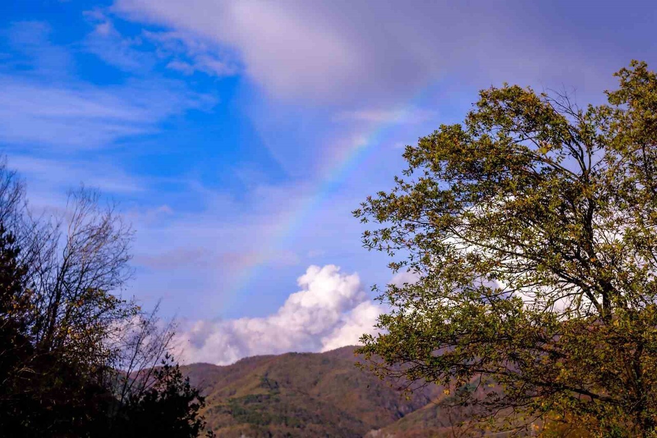 DÜZCE’DE HAFTA SONU ETKİLİ OLAN SAĞANAK YAĞIŞIN ARDINDAN HAFTA BAŞINDA AÇAN GÜNEŞ İLE BİRLİKTE...