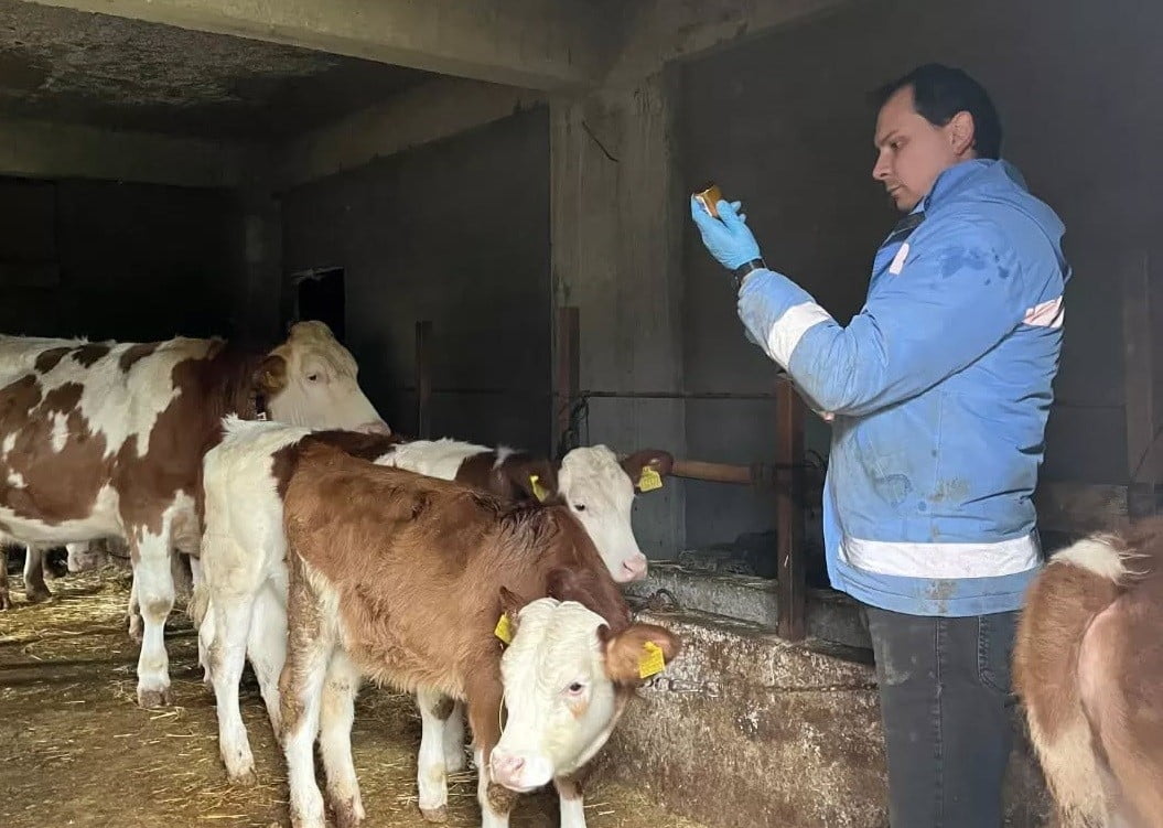 DÜZCE’NİN YIĞILCA İLÇESİNE BAĞLI GERİŞ VE GELENÖZ KÖYLERİNDE, YIĞILCA İLÇE TARIM VE ORMAN...
