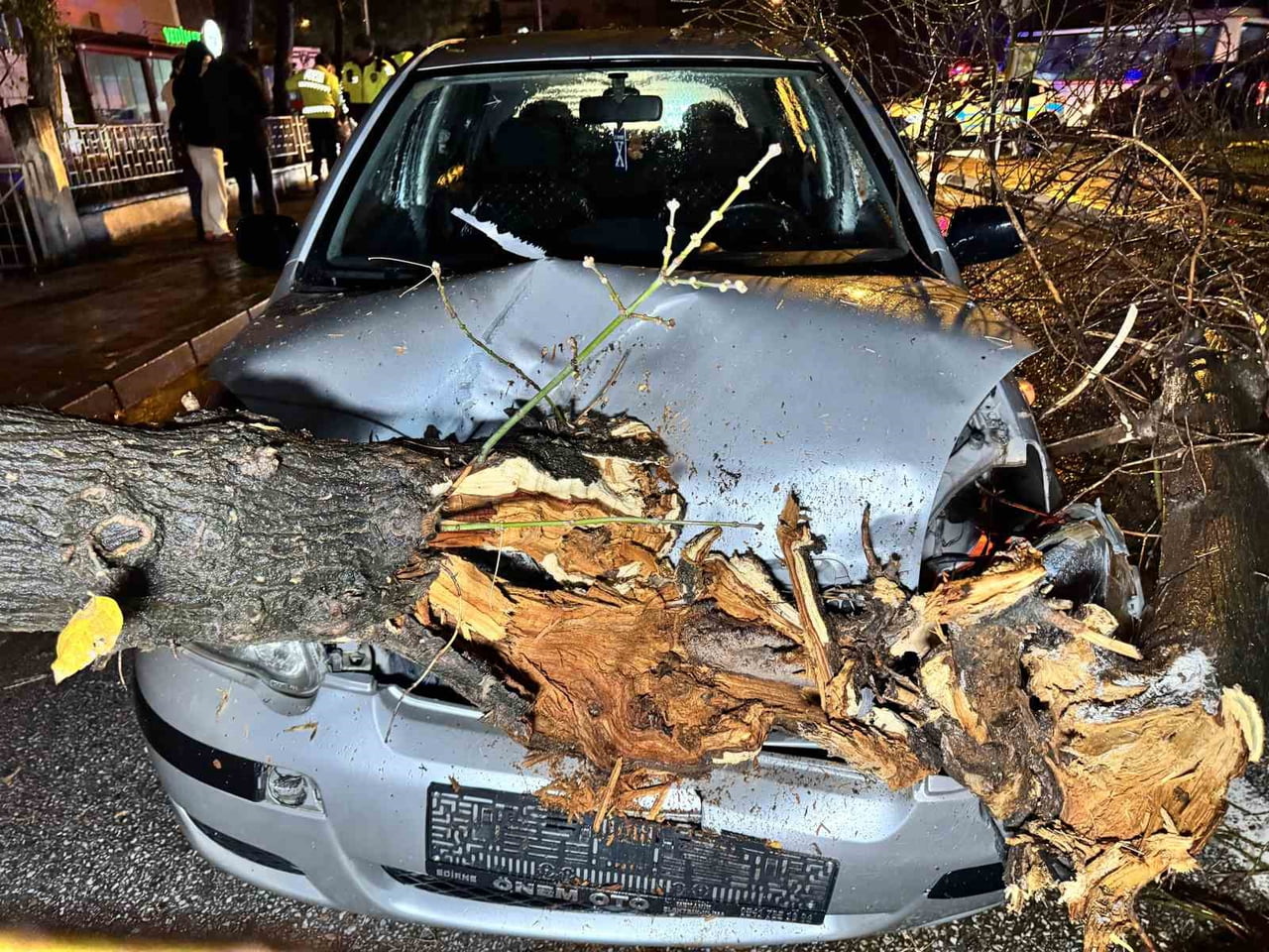 EDİRNE’DE SEYİR HALİNDEKİ OTOMOBİL ÜZERİNE AĞAÇ DEVRİLDİ