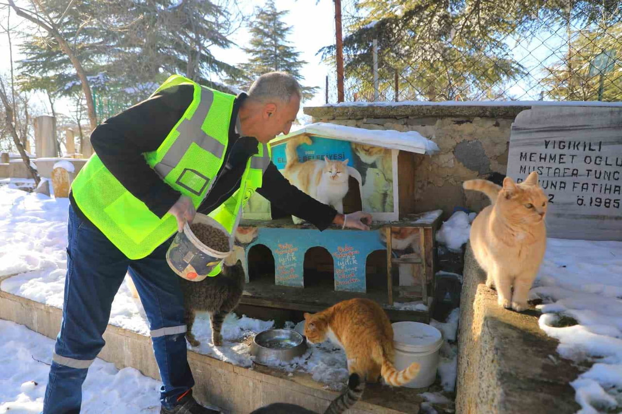 ELAZIĞ BELEDİYESİ TARAFINDAN SOKAK VE YABAN HAYVANLARI İÇİN DOĞAYA YEM VE MAMA BIRAKILDI