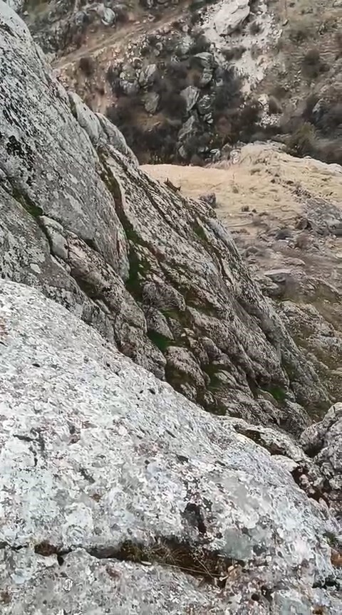 ELAZIĞ’IN TARİHİ HARPUT MAHALLE’SİNDE SÜRÜ HALİNDE GEZEN DAĞ KEÇİLERİ GÖRÜLDÜ